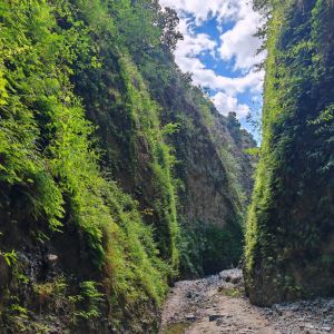 canyon valli cupe by michela valentino