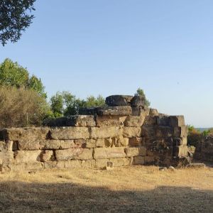 paludi05