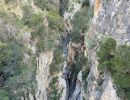 gole raganello