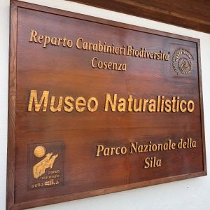cupone03