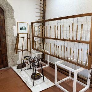 san giovanni in fiore museo