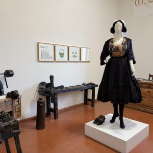 san giovanni in fiore museo